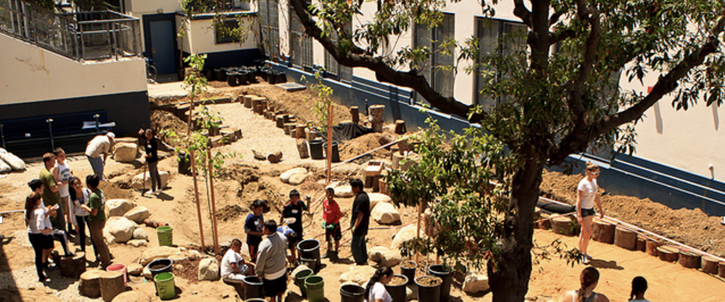 people planting trees