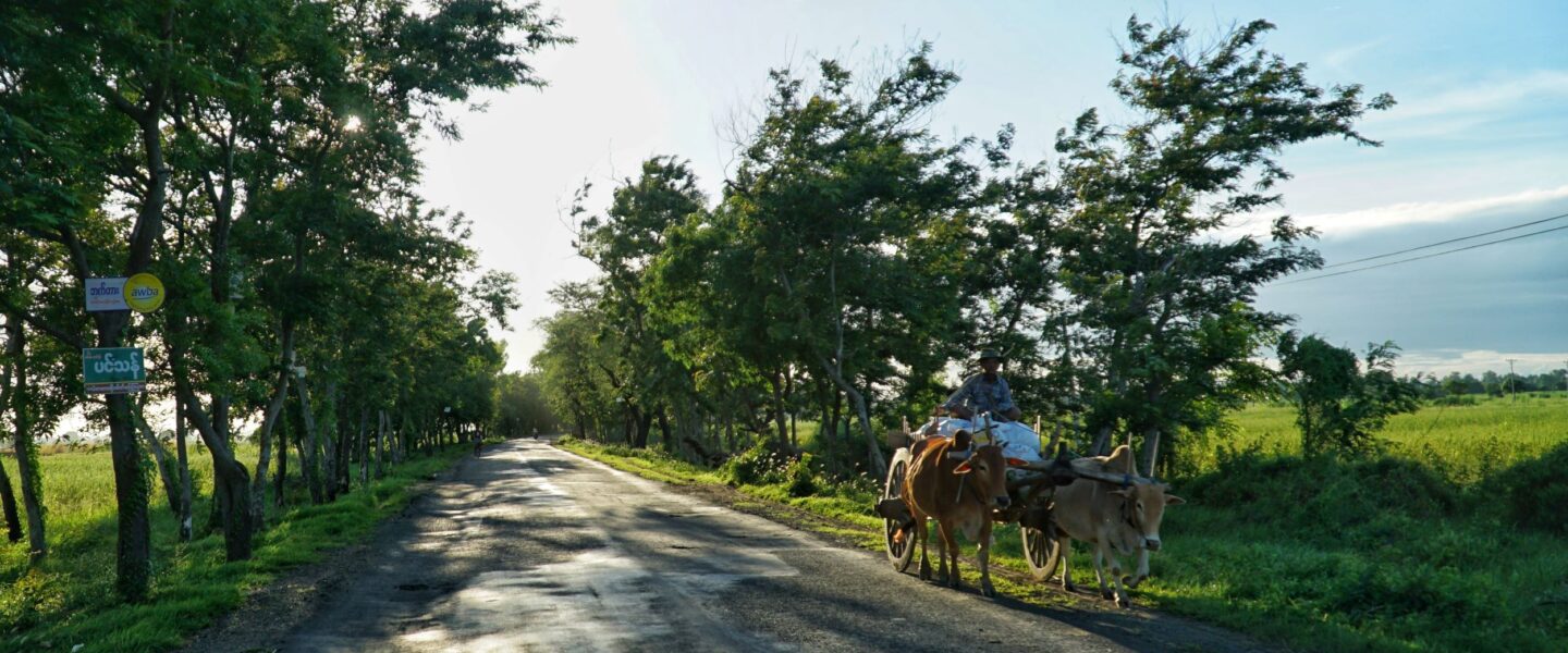 A road in a green pasture, with donkeys carrying a cart.